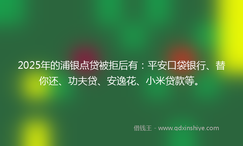 2025年的浦银点贷被拒后有：平安口袋银行、替你还、功夫贷、安逸花、小米贷款等。