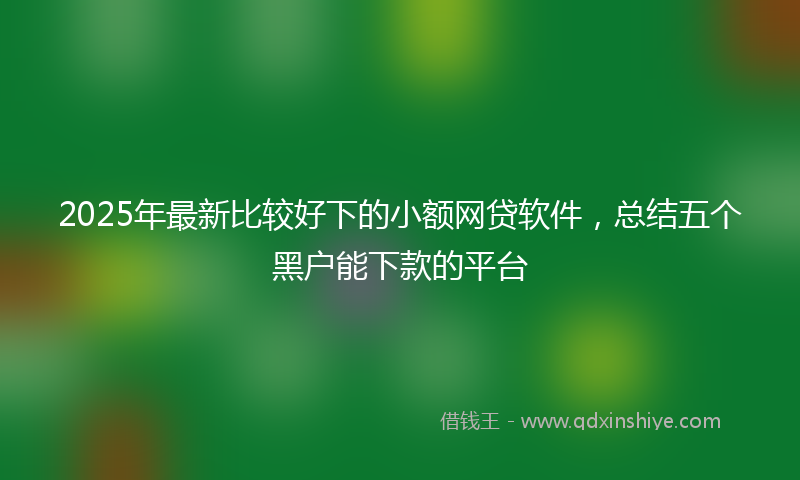 2025年最新比较好下的小额网贷软件，总结五个黑户能下款的平台