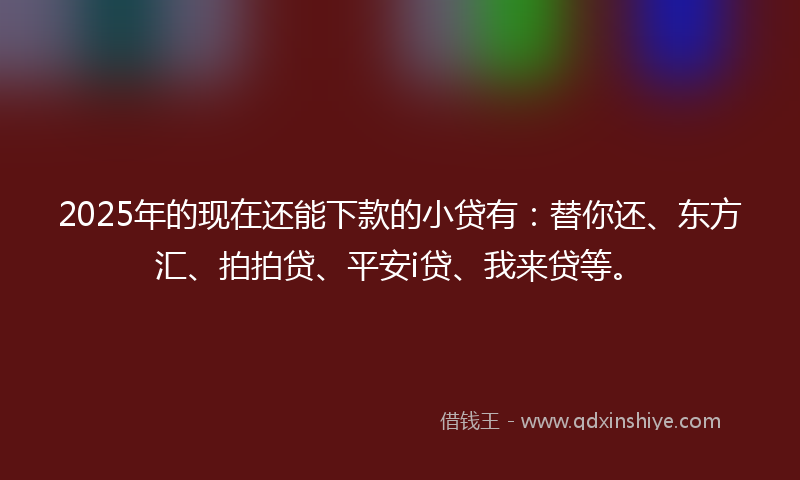 2025年的现在还能下款的小贷有：替你还、东方汇、拍拍贷、平安i贷、我来贷等。