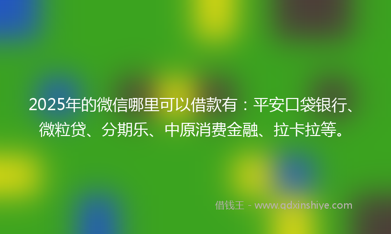 2025年的微信哪里可以借款有：平安口袋银行、微粒贷、分期乐、中原消费金融、拉卡拉等。