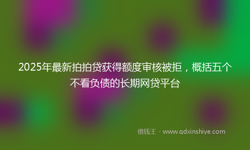 2025年最新拍拍贷获得额度审核被拒，概括五个不看负债的长期网贷平台