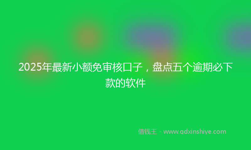 2025年最新小额免审核口子，盘点五个逾期必下款的软件