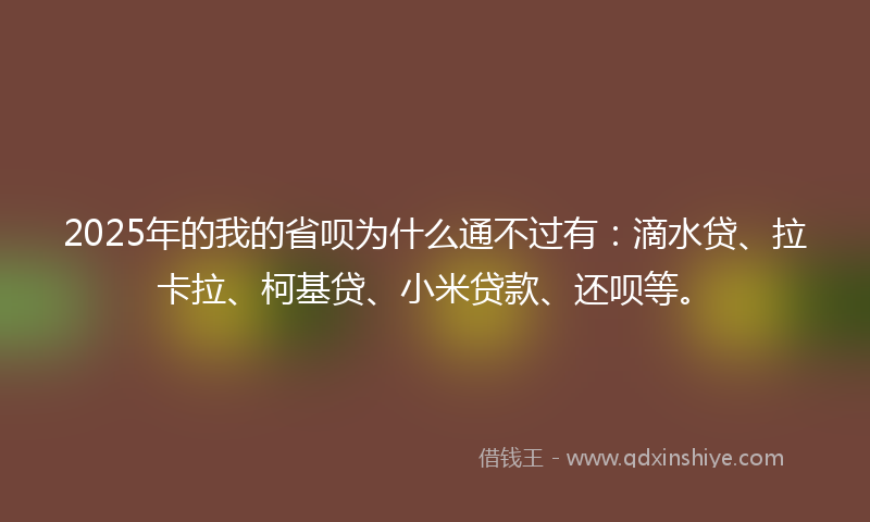 2025年的我的省呗为什么通不过有：滴水贷、拉卡拉、柯基贷、小米贷款、还呗等。