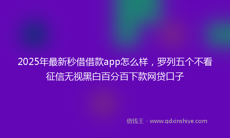 2025年最新秒借借款app怎么样，罗列五个不看征信无视黑白百分百下款网贷口子