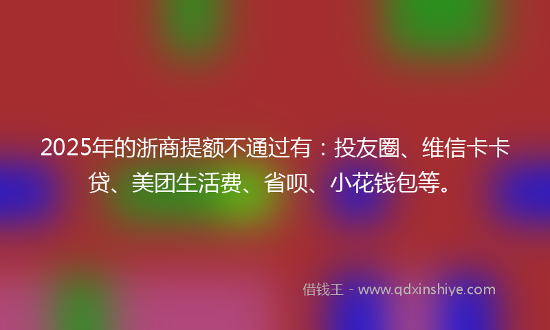 2025年的浙商提额不通过有：投友圈、维信卡卡贷、美团生活费、省呗、小花钱包等。