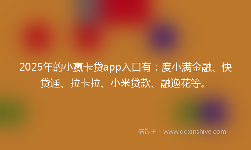 2025年的小赢卡贷app入口有：度小满金融、快贷通、拉卡拉、小米贷款、融逸花等。