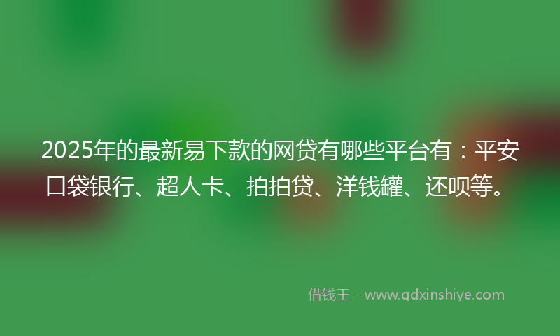 2025年的最新易下款的网贷有哪些平台有：平安口袋银行、超人卡、拍拍贷、洋钱罐、还呗等。