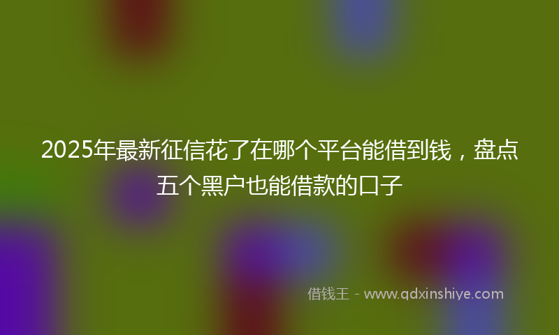 2025年最新征信花了在哪个平台能借到钱，盘点五个黑户也能借款的口子
