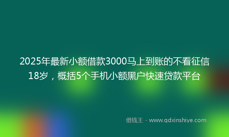 2025年最新小额借款3000马上到账的不看征信18岁，概括5个手机小额黑户快速贷款平台