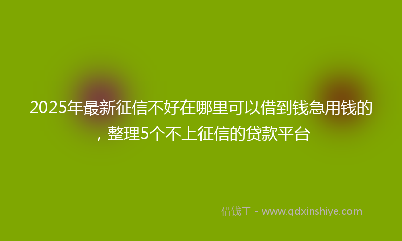 2025年最新征信不好在哪里可以借到钱急用钱的，整理5个不上征信的贷款平台
