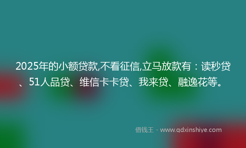 2025年的小额贷款,不看征信,立马放款有：读秒贷、51人品贷、维信卡卡贷、我来贷、融逸花等。