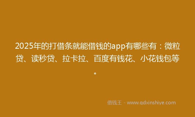 2025年的打借条就能借钱的app有哪些有：微粒贷、读秒贷、拉卡拉、百度有钱花、小花钱包等。
