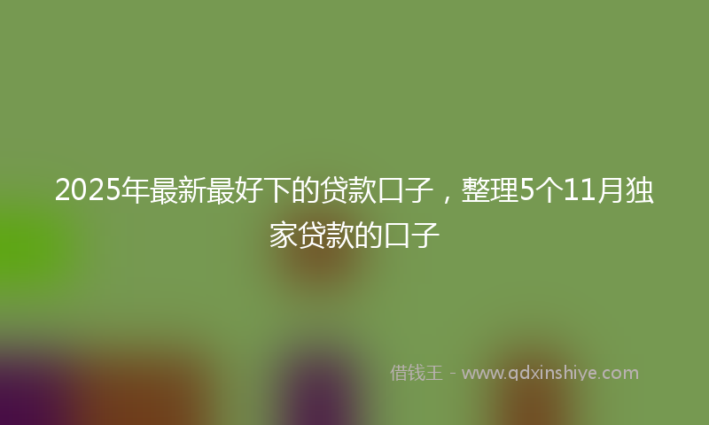 2025年最新最好下的贷款口子，整理5个11月独家贷款的口子