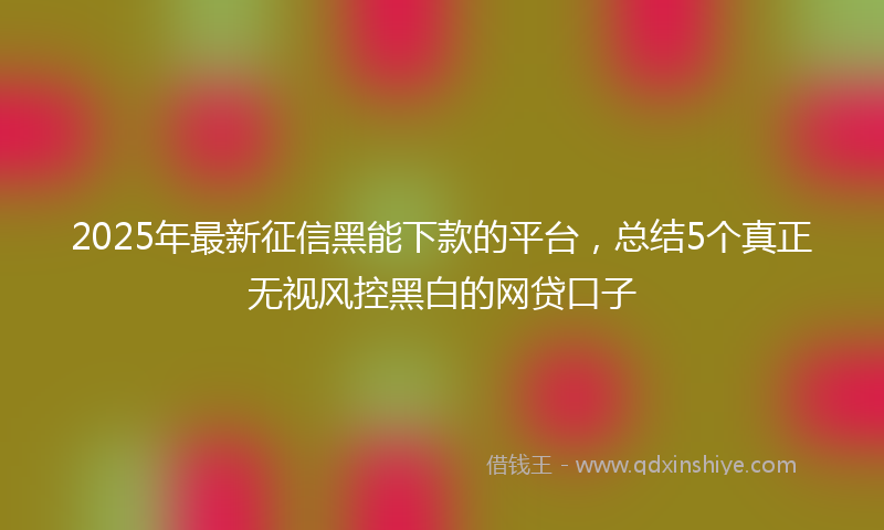 2025年最新征信黑能下款的平台，总结5个真正无视风控黑白的网贷口子