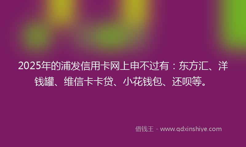 2025年的浦发信用卡网上申不过有：东方汇、洋钱罐、维信卡卡贷、小花钱包、还呗等。