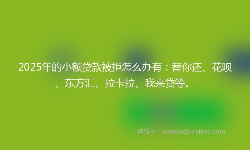 2025年的小额贷款被拒怎么办有:替你还、花呗、东方汇、拉卡拉、我来贷等。