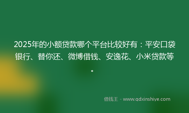 2025年的小额贷款哪个平台比较好有：平安口袋银行、替你还、微博借钱、安逸花、小米贷款等。