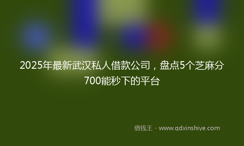 2025年最新武汉私人借款公司，盘点5个芝麻分700能秒下的平台