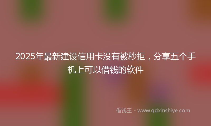 2025年最新建设信用卡没有被秒拒，分享五个手机上可以借钱的软件