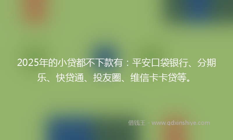 2025年的小贷都不下款有：平安口袋银行、分期乐、快贷通、投友圈、维信卡卡贷等。