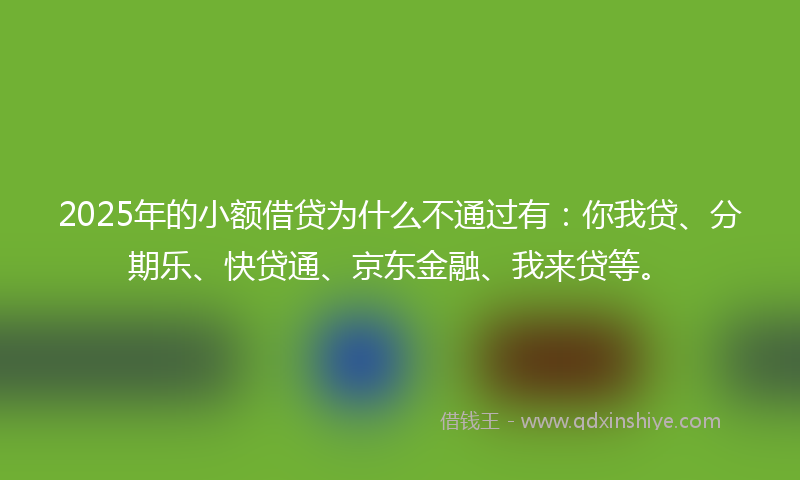 2025年的小额借贷为什么不通过有：你我贷、分期乐、快贷通、京东金融、我来贷等。