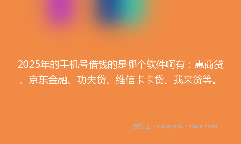 2025年的手机号借钱的是哪个软件啊有：惠商贷、京东金融、功夫贷、维信卡卡贷、我来贷等。