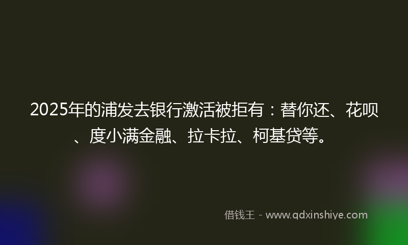 2025年的浦发去银行激活被拒有：替你还、花呗、度小满金融、拉卡拉、柯基贷等。