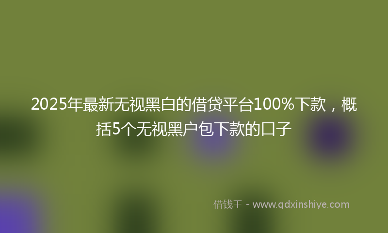 2025年最新无视黑白的借贷平台100%下款，概括5个无视黑户包下款的口子