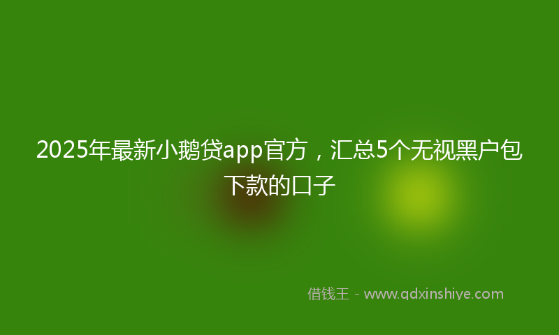 2025年最新小鹅贷app官方，汇总5个无视黑户包下款的口子