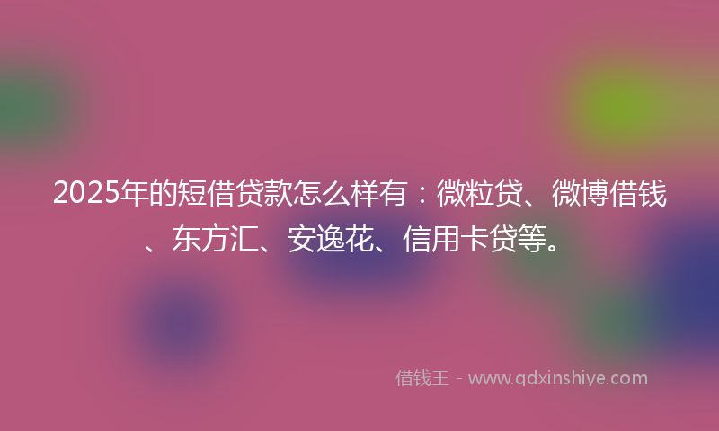 2025年的短借贷款怎么样有：微粒贷、微博借钱、东方汇、安逸花、信用卡贷等。
