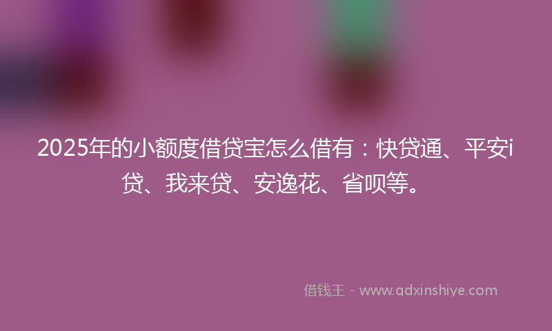 2025年的小额度借贷宝怎么借有：快贷通、平安i贷、我来贷、安逸花、省呗等。
