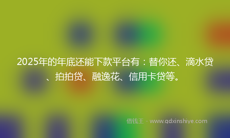 2025年的年底还能下款平台有：替你还、滴水贷、拍拍贷、融逸花、信用卡贷等。