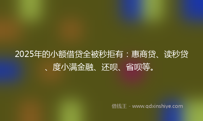 2025年的小额借贷全被秒拒有：惠商贷、读秒贷、度小满金融、还呗、省呗等。