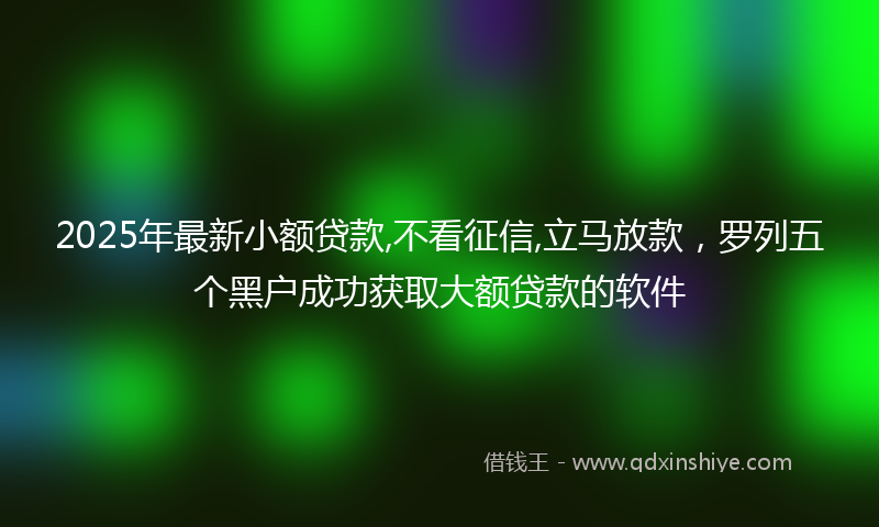 2025年最新小额贷款,不看征信,立马放款，罗列五个黑户成功获取大额贷款的软件