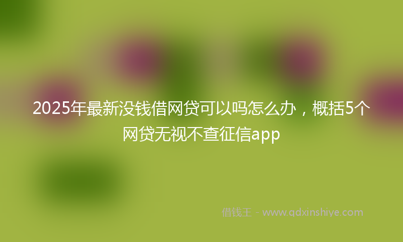 2025年最新没钱借网贷可以吗怎么办，概括5个网贷无视不查征信app