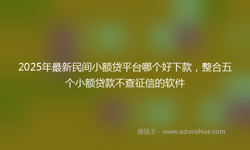 2025年最新民间小额贷平台哪个好下款，整合五个小额贷款不查征信的软件