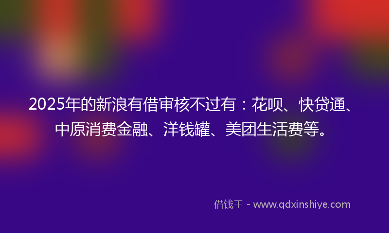2025年的新浪有借审核不过有：花呗、快贷通、中原消费金融、洋钱罐、美团生活费等。