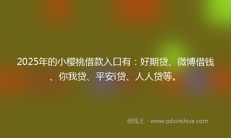2025年的小樱桃借款入口有：好期贷、微博借钱、你我贷、平安i贷、人人贷等。