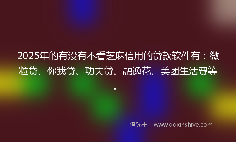 2025年的有没有不看芝麻信用的贷款软件有：微粒贷、你我贷、功夫贷、融逸花、美团生活费等。