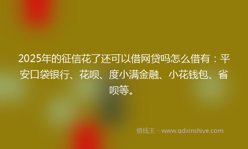 2025年的征信花了还可以借网贷吗怎么借有：平安口袋银行、花呗、度小满金融、小花钱包、省呗等。
