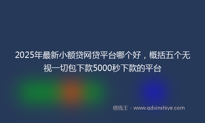 2025年最新小额贷网贷平台哪个好，概括五个无视一切包下款5000秒下款的平台