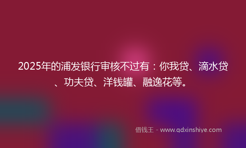 2025年的浦发银行审核不过有：你我贷、滴水贷、功夫贷、洋钱罐、融逸花等。