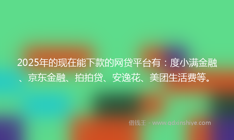 2025年的现在能下款的网贷平台有：度小满金融、京东金融、拍拍贷、安逸花、美团生活费等。