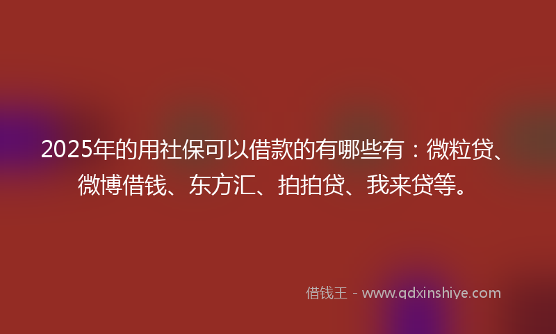 2025年的用社保可以借款的有哪些有：微粒贷、微博借钱、东方汇、拍拍贷、我来贷等。