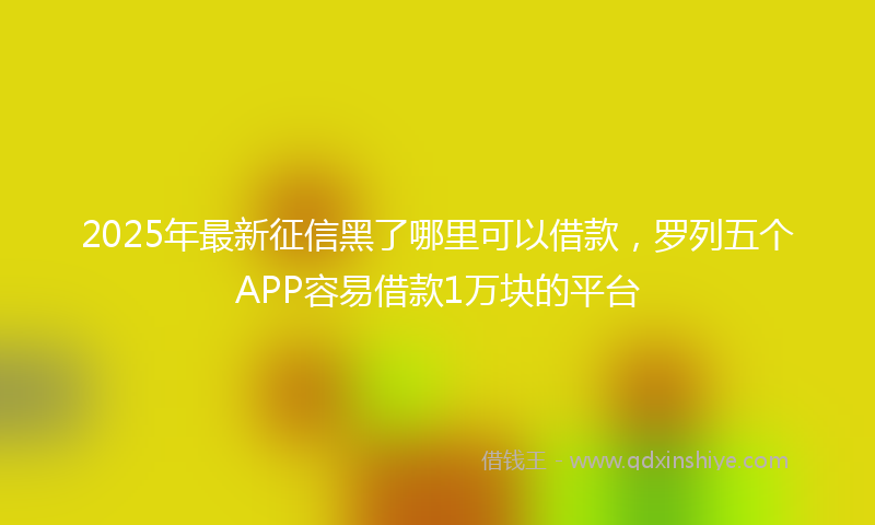 2025年最新征信黑了哪里可以借款，罗列五个APP容易借款1万块的平台