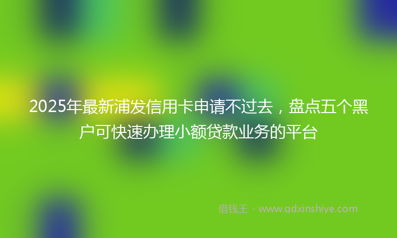 2025年最新浦发信用卡申请不过去，盘点五个黑户可快速办理小额贷款业务的平台