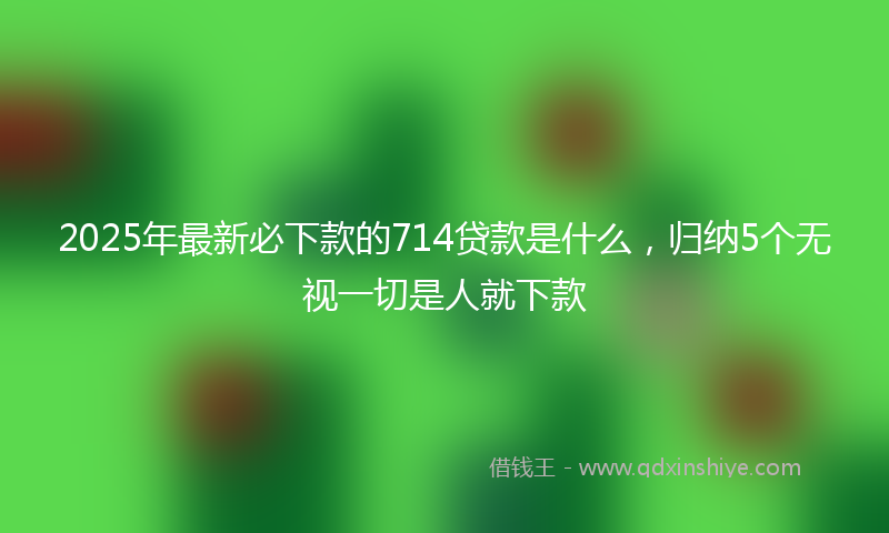 2025年最新必下款的714贷款是什么，归纳5个无视一切是人就下款