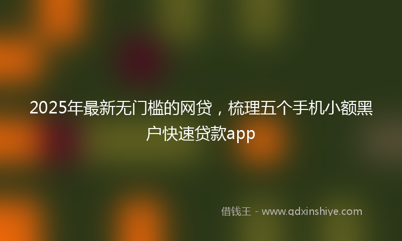 2025年最新无门槛的网贷，梳理五个手机小额黑户快速贷款app