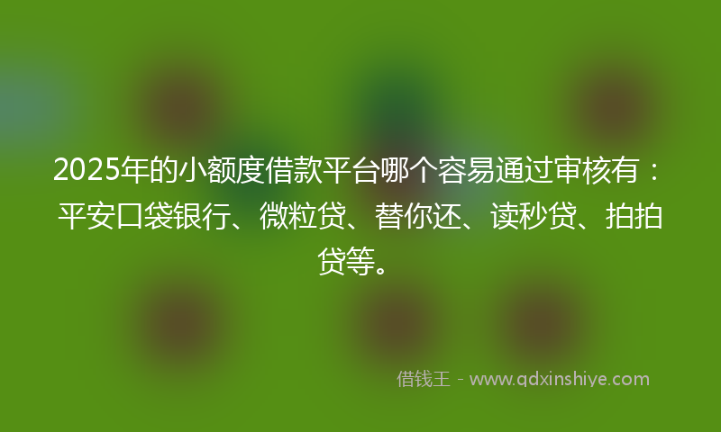 2025年的小额度借款平台哪个容易通过审核有：平安口袋银行、微粒贷、替你还、读秒贷、拍拍贷等。