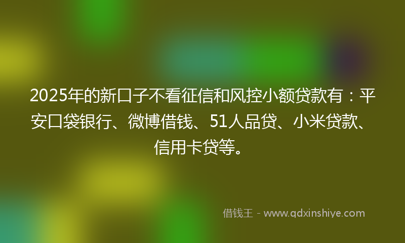 2025年的新口子不看征信和风控小额贷款有：平安口袋银行、微博借钱、51人品贷、小米贷款、信用卡贷等。